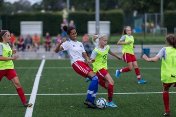Bild 61 - C-Juniorinnen HSV - Walddoerfer : Ergebnis: 9:1